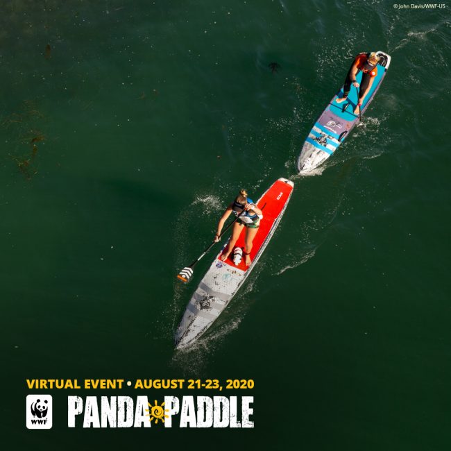 Virtual Panda Paddle 7 World Wildlife Fund Virtual Event