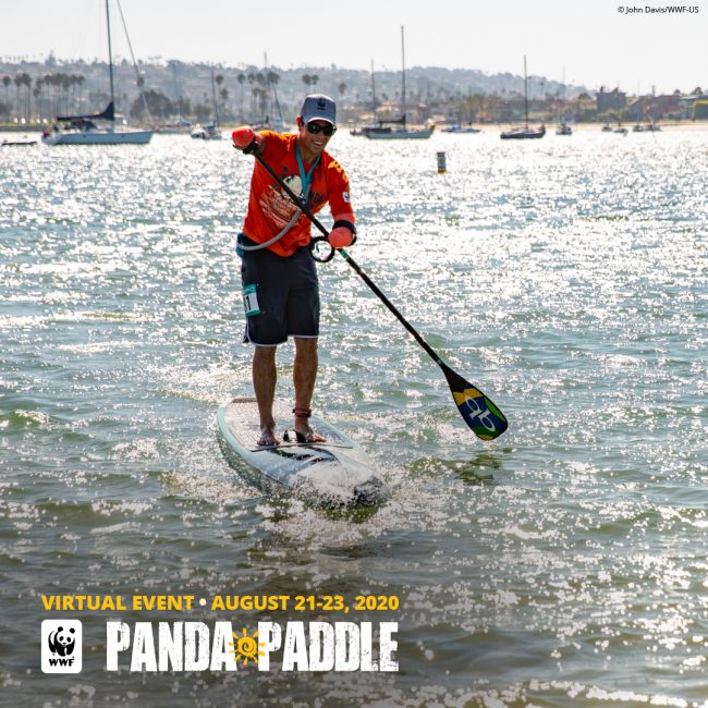 Virtual Panda Paddle World Wildlife Fund Virtual Event
